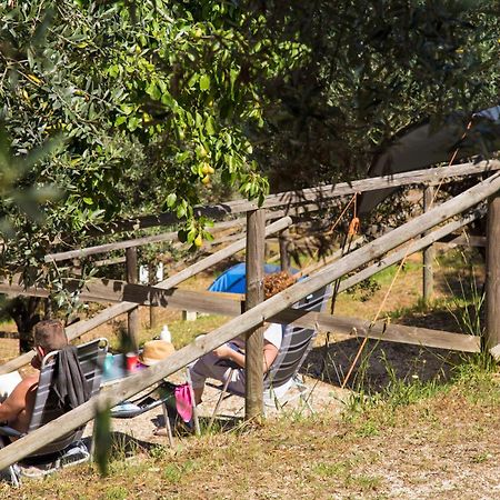 Blucamp Natural Village Campiglia Marittima Esterno foto