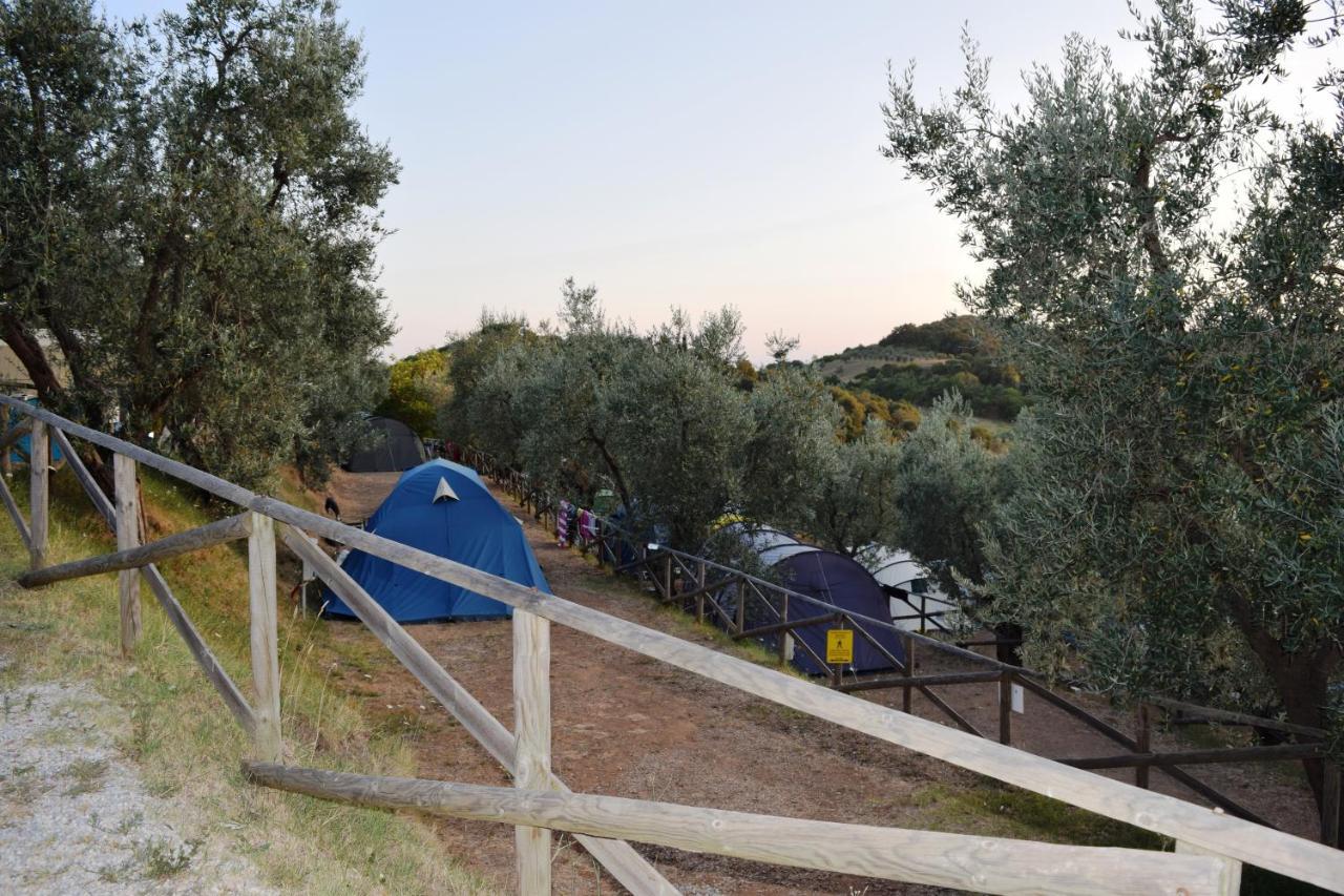 Blucamp Natural Village Campiglia Marittima Esterno foto