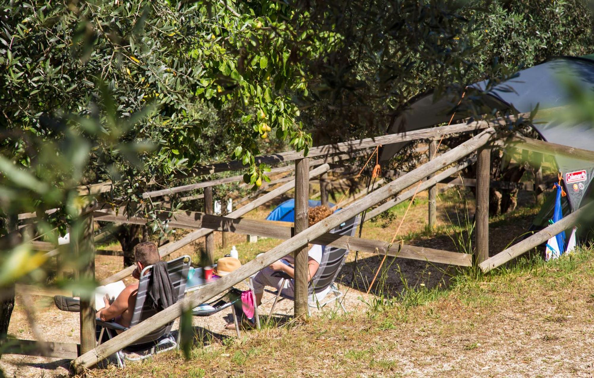 Blucamp Natural Village Campiglia Marittima Esterno foto