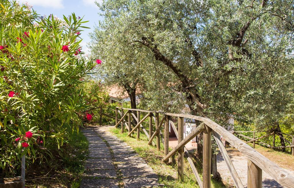 Blucamp Natural Village Campiglia Marittima Esterno foto