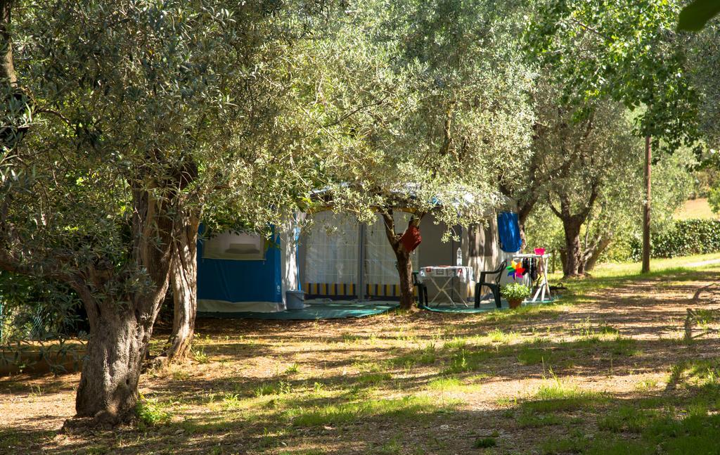 Blucamp Natural Village Campiglia Marittima Esterno foto