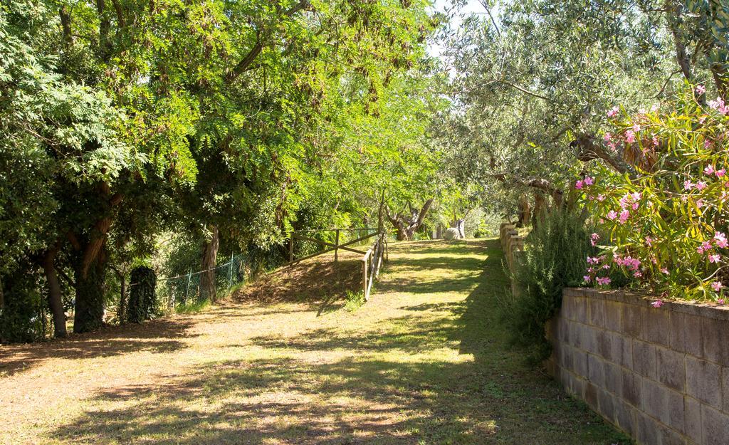 Blucamp Natural Village Campiglia Marittima Esterno foto